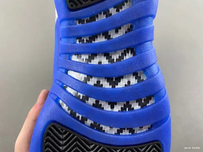 Rep Air CT8013-140 12 Blueberry Jordan 0502